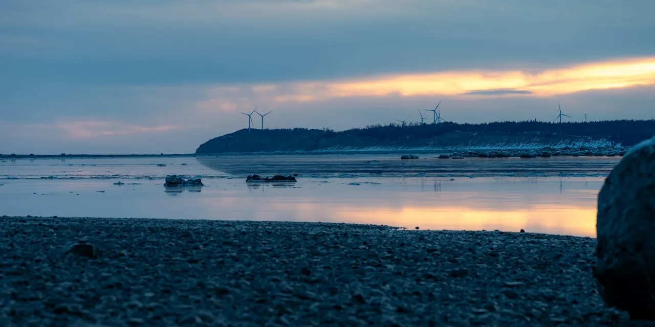 Anchorage Seafood in 2026: $60 Million in Automation and the Talent It Cannot Replace