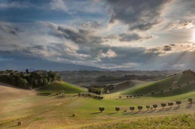 Ascoli Piceno's Agri-Food Sector Is Exporting More Than Ever and Still Cannot Hire the Leaders It Needs