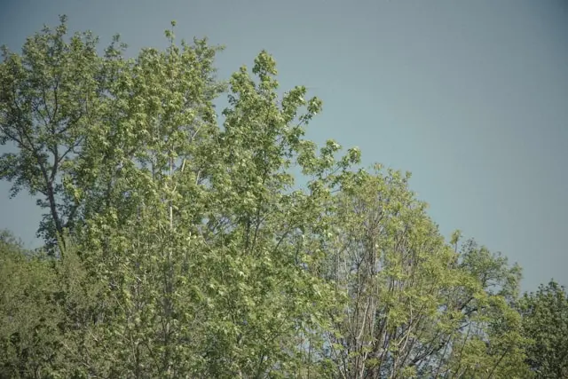 Augusta's $194 Million Hospital Expansion Has a Workforce Problem No Building Can Solve