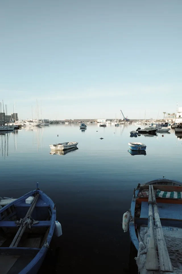 Bari's Maritime Logistics Paradox: Billions in Infrastructure, a Talent Pool That Keeps Shrinking