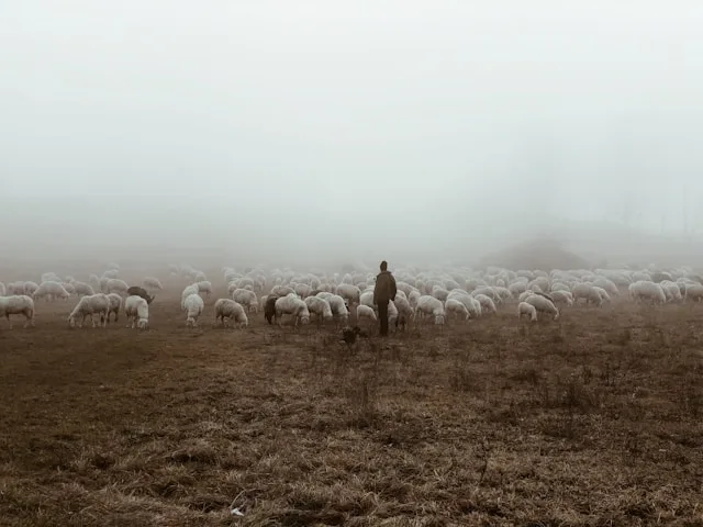 Biella's Luxury Textile Sector Is Not Dying. It Is Splitting in Two. And Only One Side Can Hire.