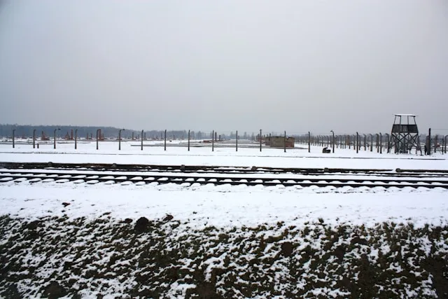 Bijeljina Is Building a Logistics Hub It Cannot Yet Staff: The Talent Gap Behind the Infrastructure