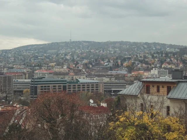 Budapest's 78,000 Finance Workers Cannot Fill Its Most Important Roles: The Talent Bifurcation Reshaping Hungary's Banking Sector