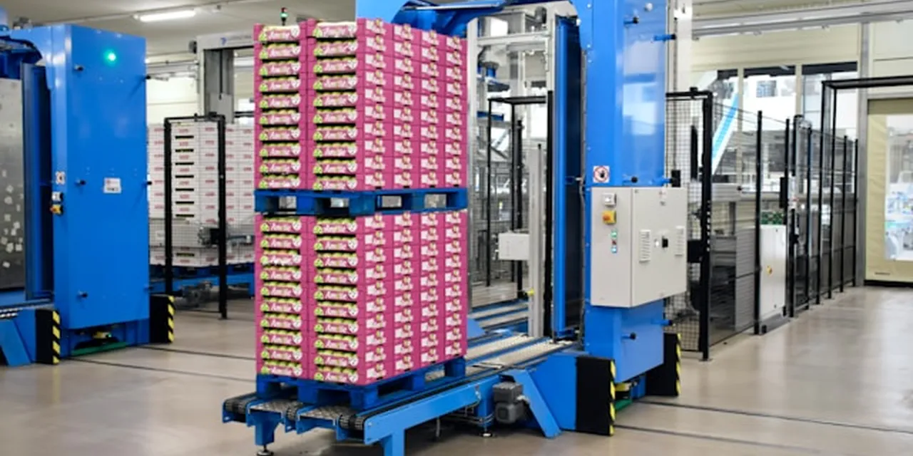 Celje's Logistics Boom Is Outpacing the Talent and Infrastructure It Needs to Sustain It