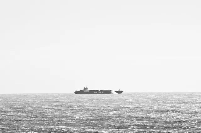 Constanța's Port Automation Bet: Why the Talent to Run It Does Not Yet Exist in Sufficient Numbers