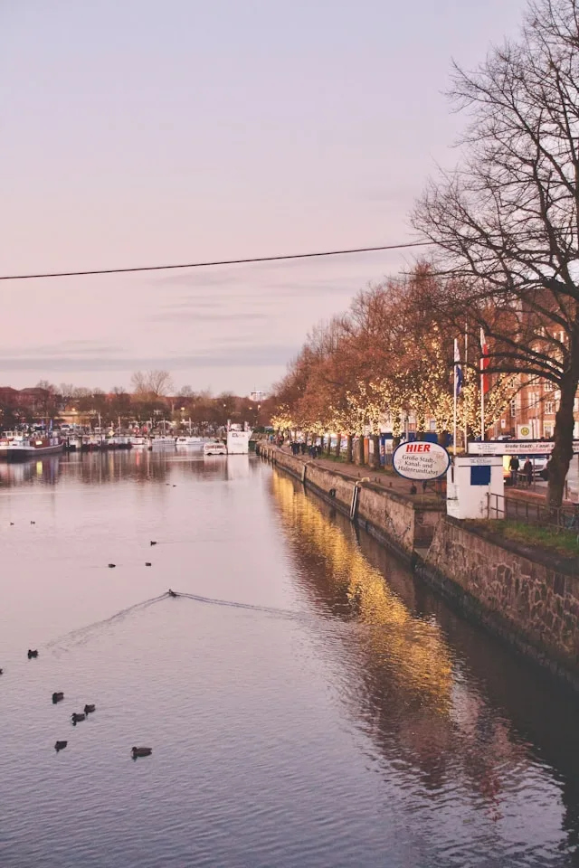 Dresden's €8 Billion Semiconductor Bet Has a Problem No Subsidy Can Fix