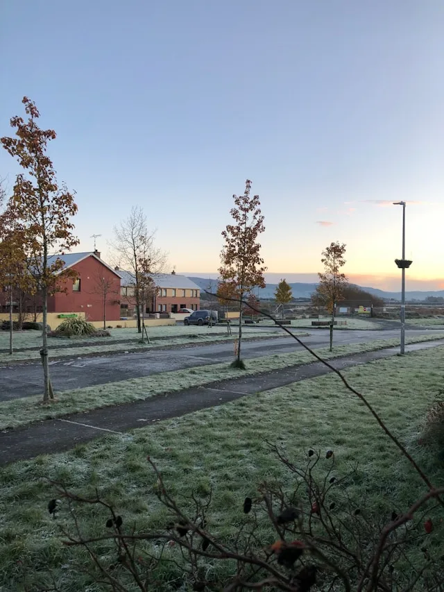 Dundalk's Manufacturing Paradox: Why €23.4 Million in Automation Has Made Hiring Harder, Not Easier