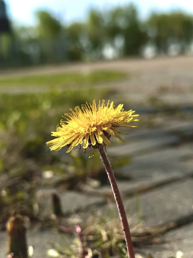 Edmonton Oilfield Services Hiring: Why Capital Discipline Has Made the Talent Shortage Worse, Not Better