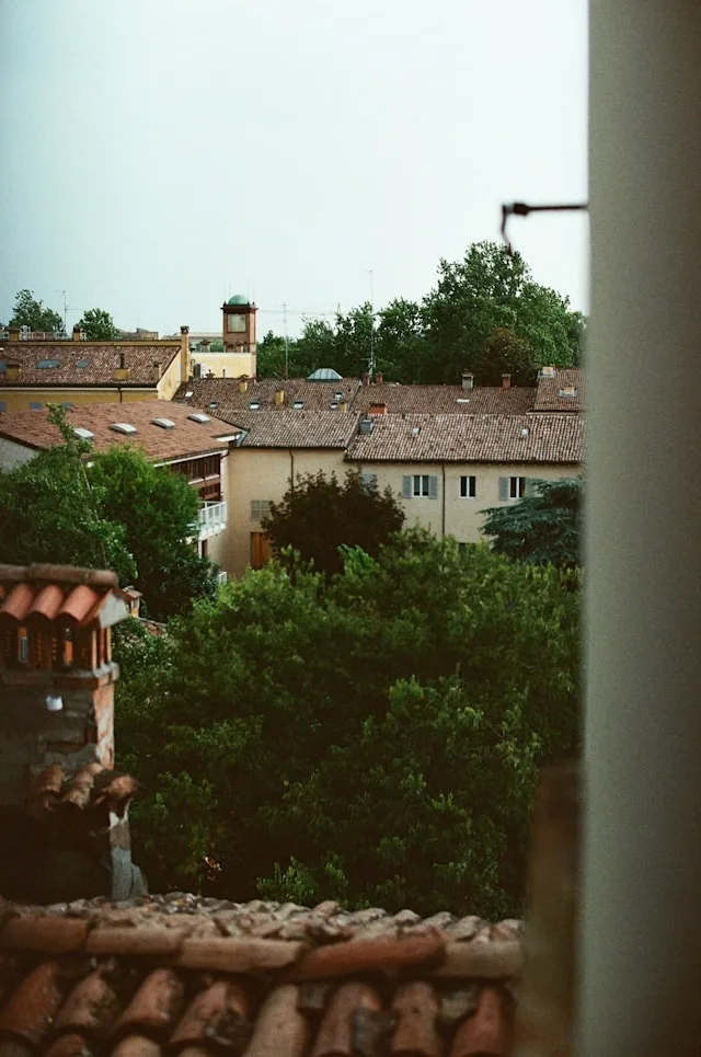 Foggia's Agri-Food Paradox: 19% Unemployment and No One to Hire for the Roles That Matter