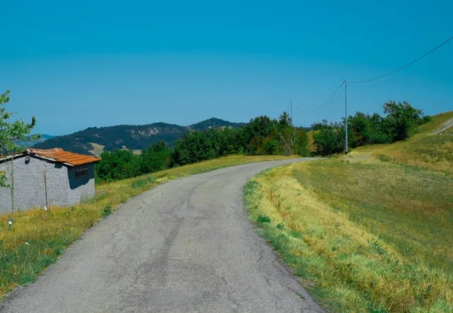 Forlì's Agri-Food Sector Is Investing in Automation It Cannot Staff: What Hiring Leaders Need to Know