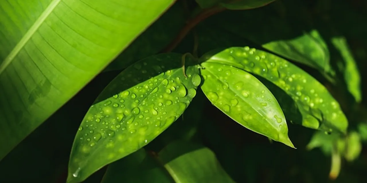 Keelung's Port Expansion Is Doubling Cruise Capacity. The Talent to Run It Does Not Exist.