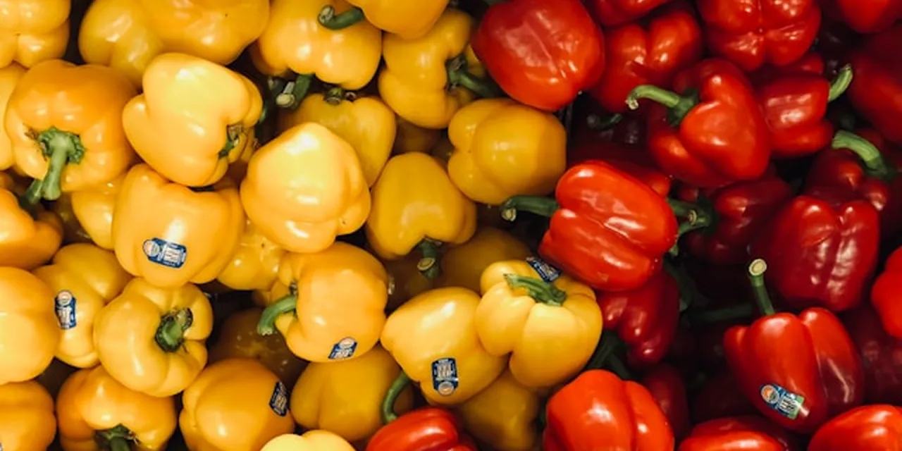 Khon Kaen Agribusiness in 2026: The Automation That Creates More Vacancies Than It Fills