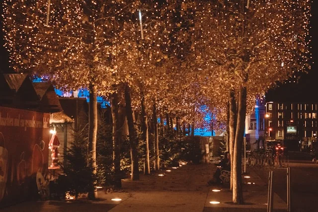 Klagenfurt's Commerce Sector Is Splitting in Two: What the Logistics Surge Means for Hiring Leaders