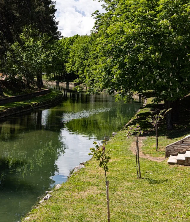 Larissa's Agribusiness Paradox: 14% Unemployment and No One to Hire