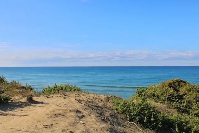 Latina's Agro Pontino: €42 Million in Automation Investment, and No One Qualified to Run It