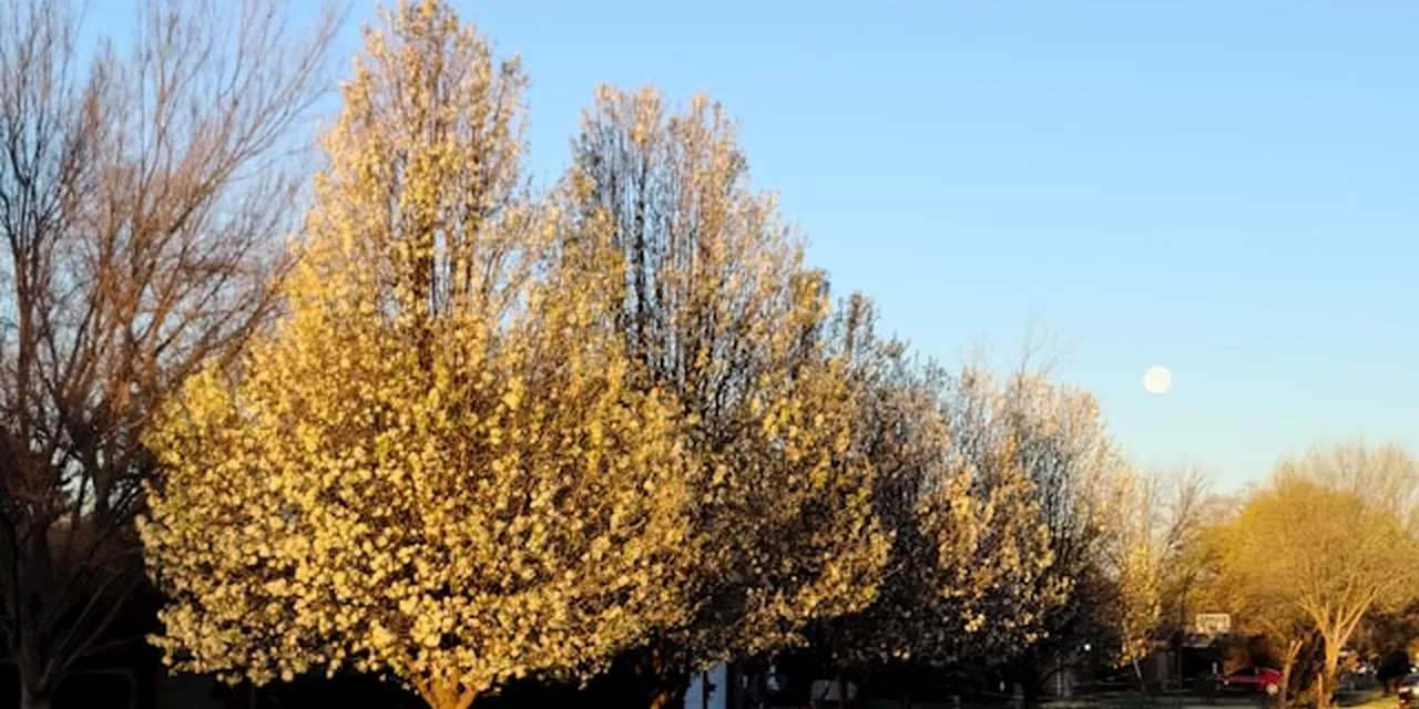Lubbock's Wind Logistics Boom Has a Problem: The Workers It Needs Are Disappearing