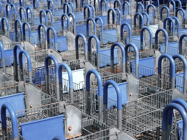 Manila's Wholesale Markets Are Transforming Faster Than the Talent Pool Can Follow