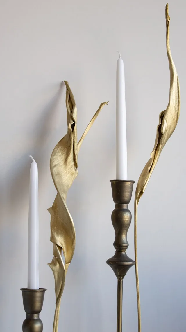 Mantua's Agri-Food Sector Is Investing Millions in Automation. The Talent to Run It Does Not Exist in Sufficient Numbers.