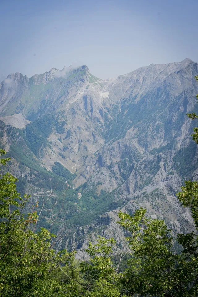 Massa's Marble Processors Invested in Automation. The Technicians to Run It Do Not Exist in Sufficient Numbers.