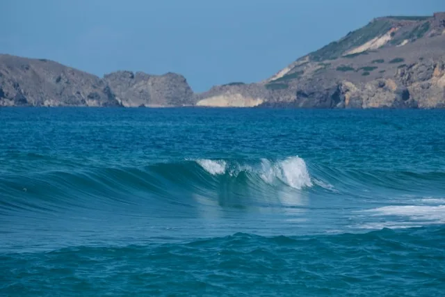 Oristano's Fishing and Bottarga Sector in 2026: A Talent Crisis That Mirrors an Ecological One