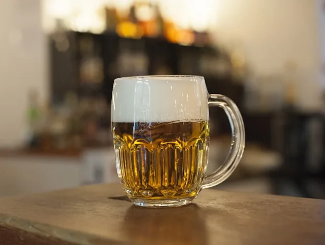 Plzeň's Brewing Sector Is Investing Billions. The Talent to Deliver It Does Not Exist in Sufficient Numbers