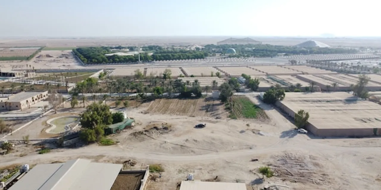 Qatar's $46 Billion LNG Expansion and the Engineers It Cannot Find