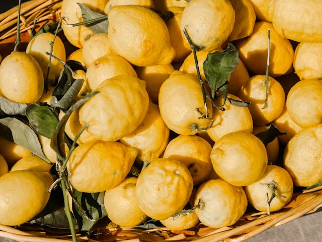 Reggio Calabria's Bergamot Monopoly: A €220/kg Ingredient With €28,000 Workers