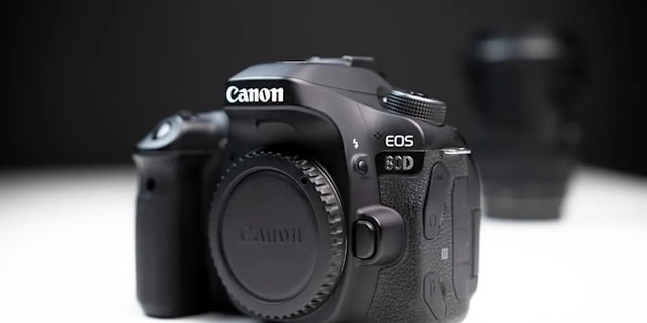 Setúbal's Coastal Tourism Is Booming. Its Talent Supply Is Capped by Regulation, Not Demand.