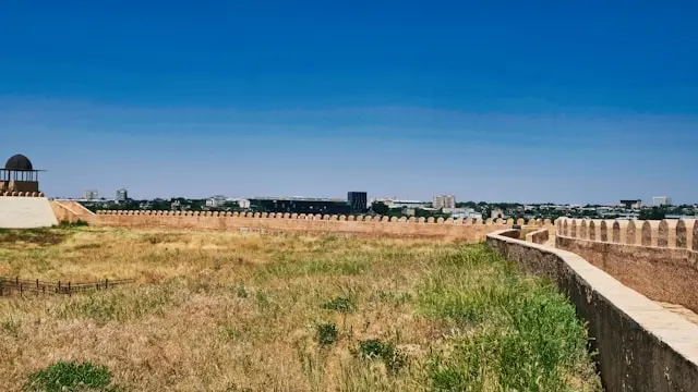 Shymkent's Agro-Processing Sector Is Investing Millions and Falling Further Behind: The Technology Trap Hiring Leaders Cannot Ignore