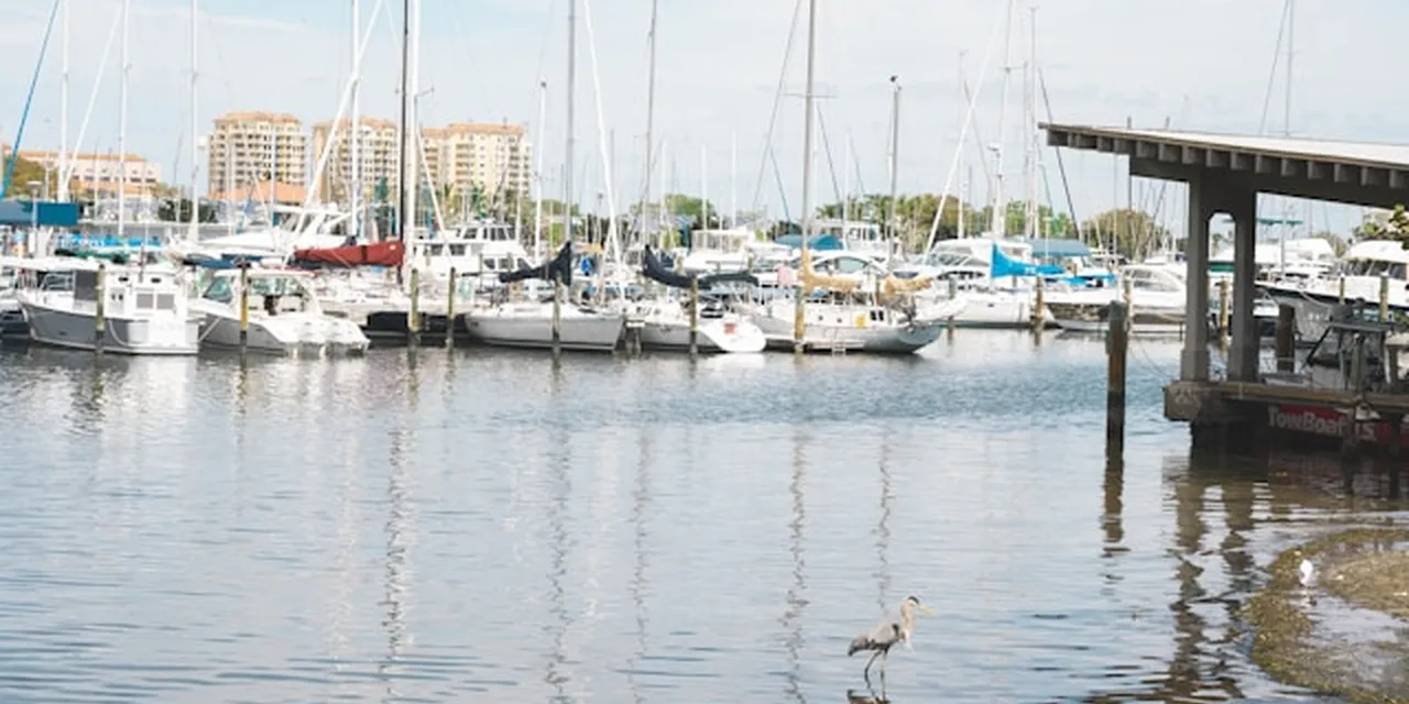 St. Petersburg's Financial Services Cluster Is Growing Fast and Hiring Slowly: What Senior Leaders Need to Know in 2026