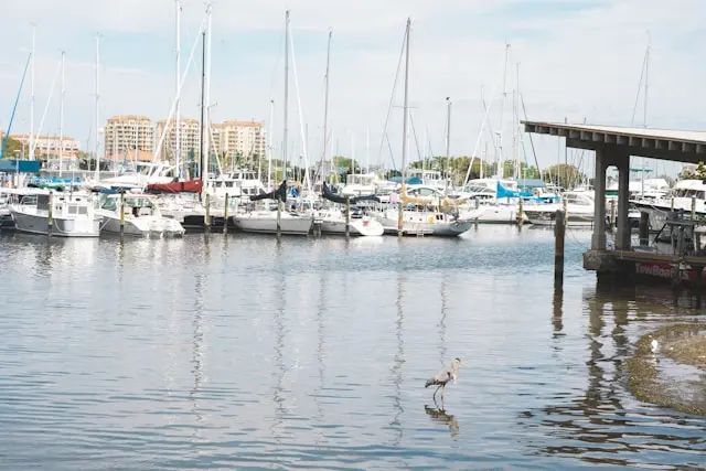 St. Petersburg Marine Services: The Blue Economy Investment That Has Not Solved the Trades Hiring Crisis