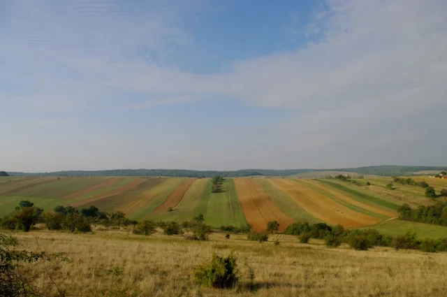 Szeged's Agri-Food Cluster Is Posting Record Revenue. It Cannot Hire the People to Sustain It.