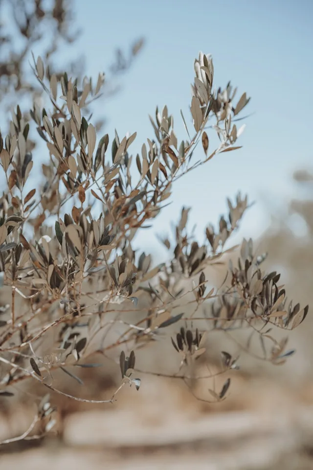 Thessaloniki's Agri-Food Sector Has Invested Heavily in Infrastructure. The Workforce to Run It Has Not Followed.
