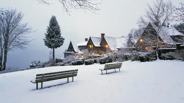 Trois-Rivières Pulp and Paper: $500 Million in Capital, Fewer Workers, and a Retirement Wave That Changes Everything