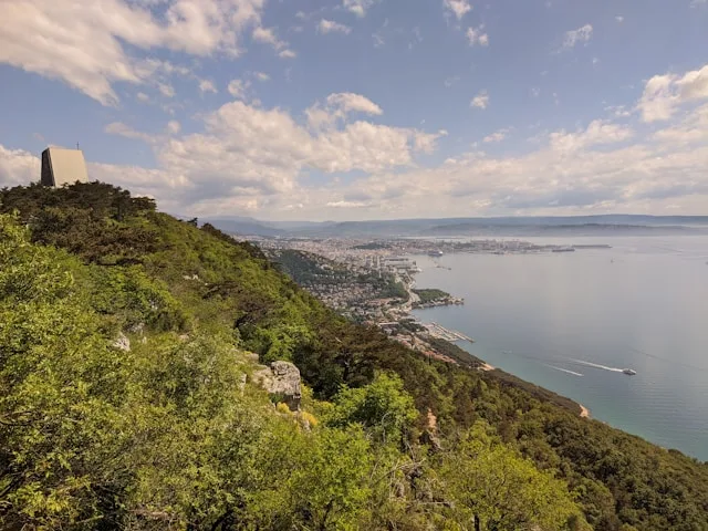 Udine's Agrifood Sector Is Producing Graduates and Losing Managers: The Talent Mismatch Behind Friuli's Premium Ambitions