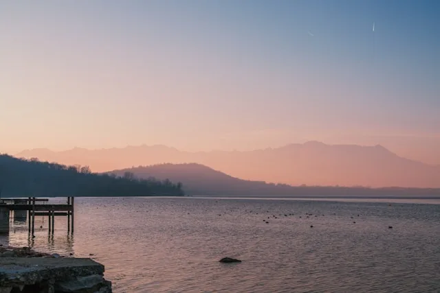 Vercelli's Agri-Tech Sector Is Replacing One Workforce with Another That Does Not Yet Exist