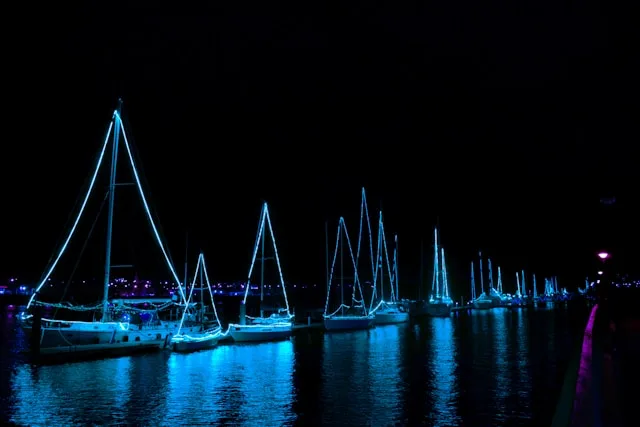 Waterford's Port Is Growing. Its Talent Pipeline Is Not. The Hiring Gap Behind the Cargo Numbers