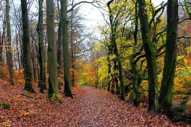 Wiesbaden's Wellness and Conference Sector in 2026: Two Talent Markets, One City, and a Widening Gap Between Them