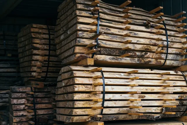 Zvornik's Timber Sector Is Sliding Toward Raw Material Dependency: The Talent Gap Accelerating the Decline