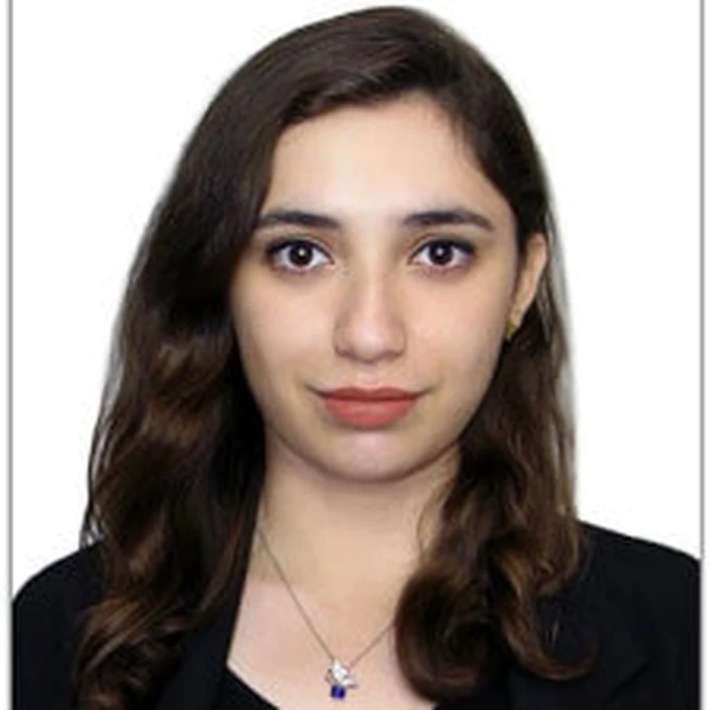 Negar Khoshmanzar, Vertical Lead for Retail Operations